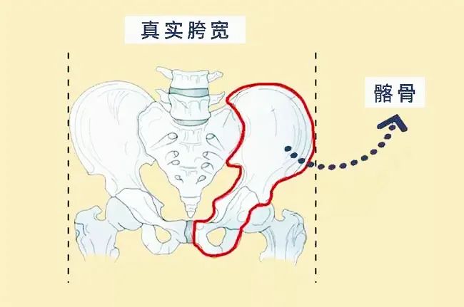 晟和堂教您搞定“假胯宽”，让你的腿再长20cm